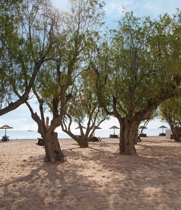 “BLUE FLAG” BEACH